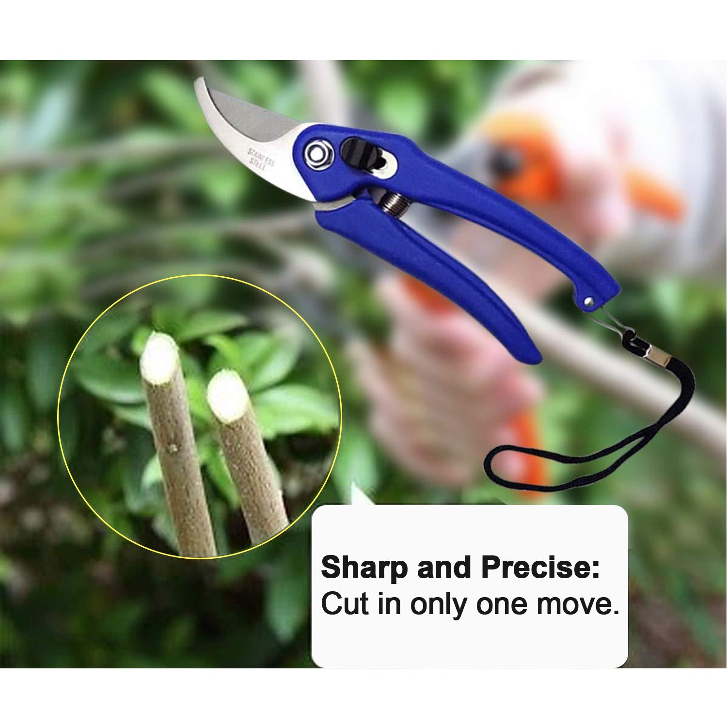 Garden Shears Pruners Scissor For Cutting Branches Flowers Leaves Pruning Seeds